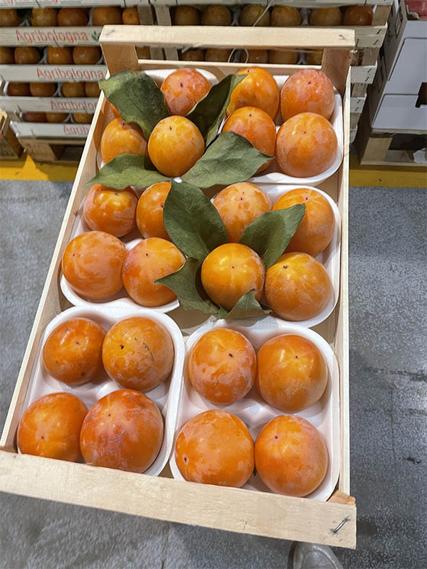 Kaki - Italia - 2,45 euro al chilogrammo